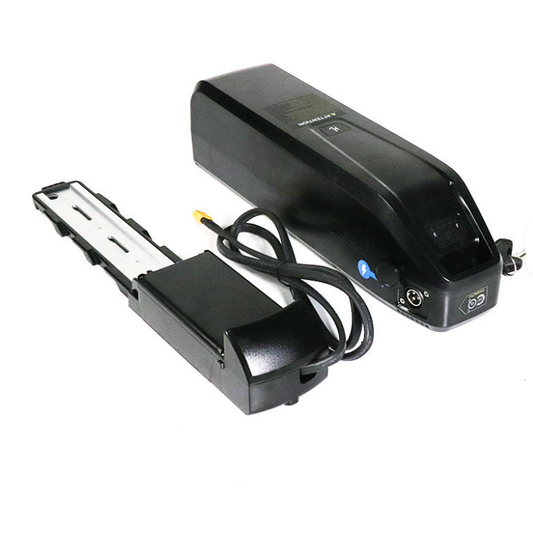 Originele V20 Accu – 48 V / 15 Ah