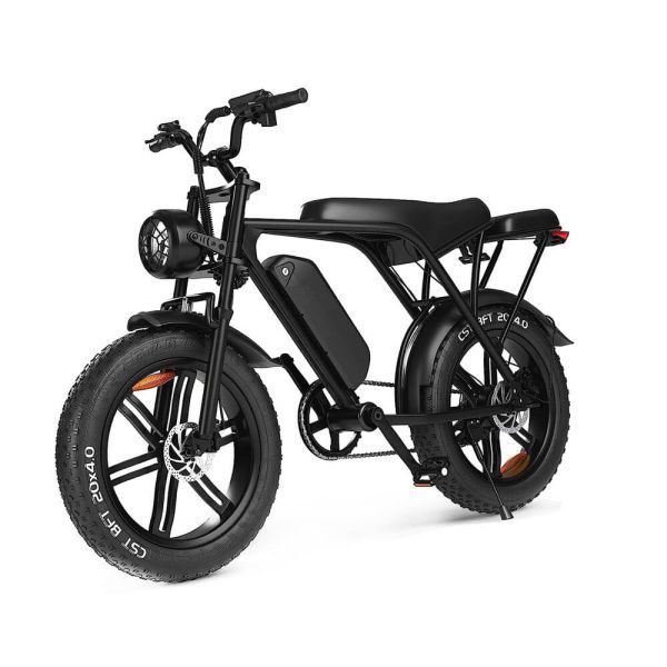Fatbikes